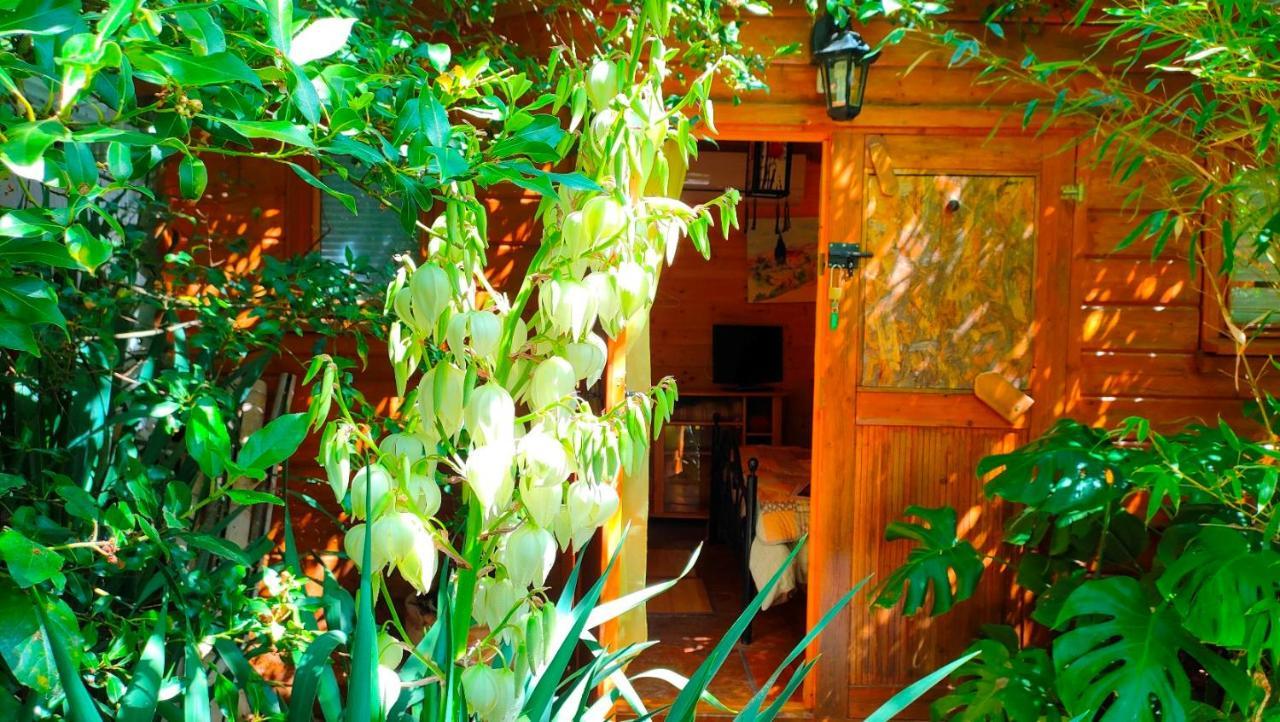Le Portel Des Arnaud Chambres D'Hotes Durfort-et-Saint-Martin-de-Sossenac ภายนอก รูปภาพ